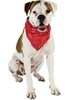 Picture of Doogy Fashion bandana dog collar